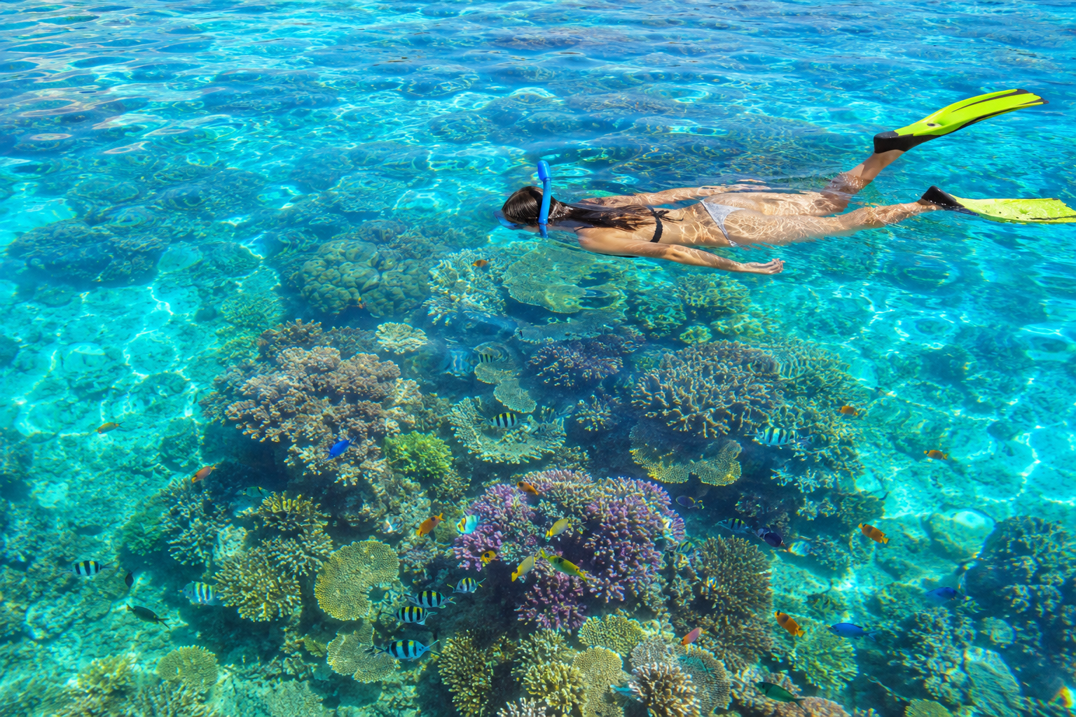 Snorkelling